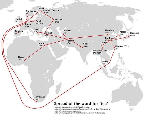20. Çay kelimesinin ülkelere dağılımı