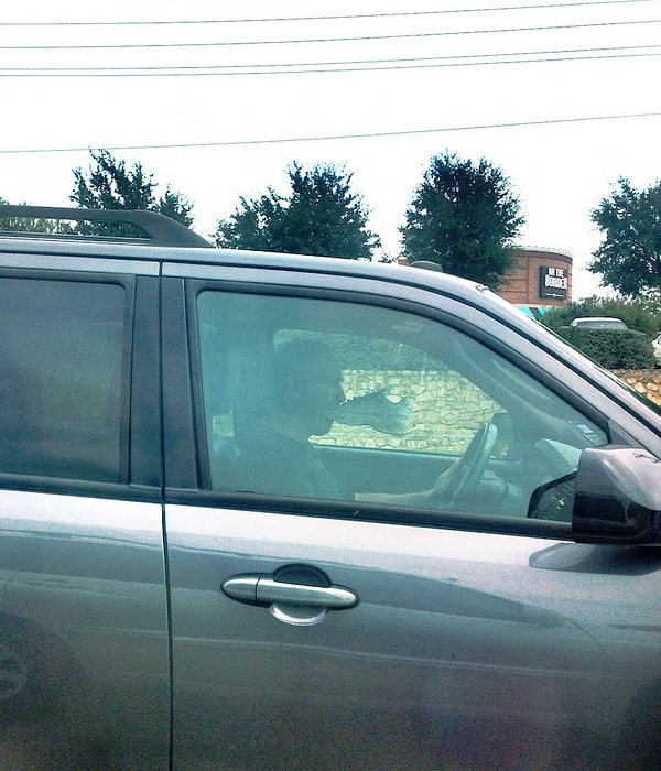 4. Кажется, кому-то не хватает протеина.