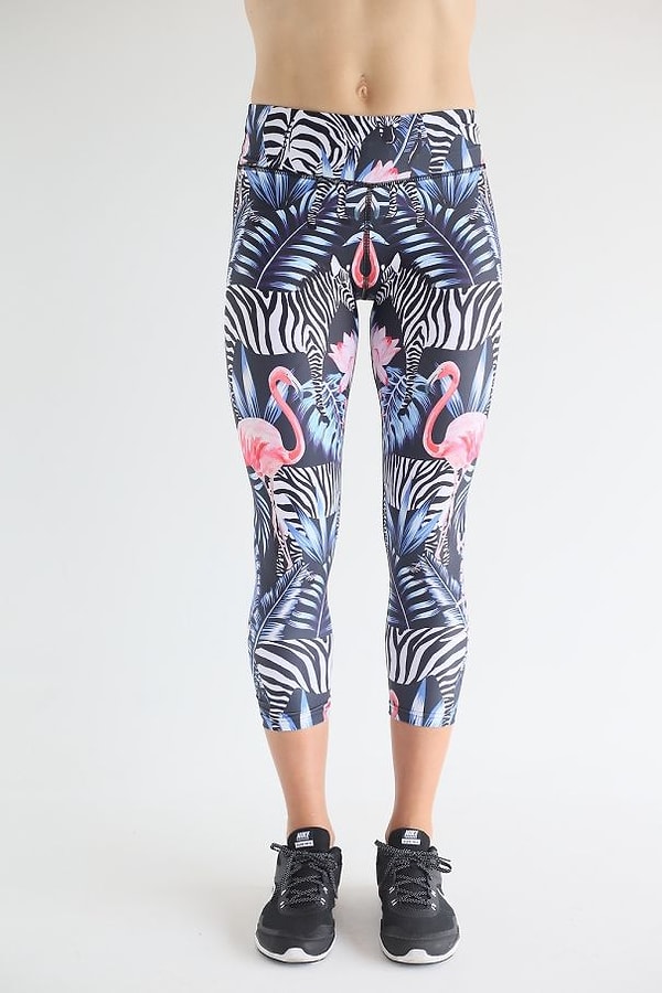 4. Два фламинго, одна вагина