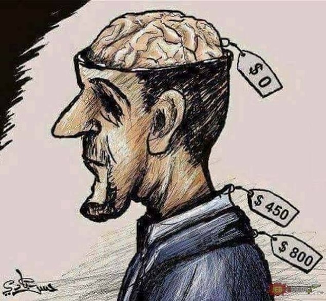 14. Brain is for free, really!