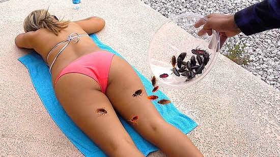 Güneşlenen Kız Arkadaşının Üzerine Hamam Böceği Döken Rahatsız Adam