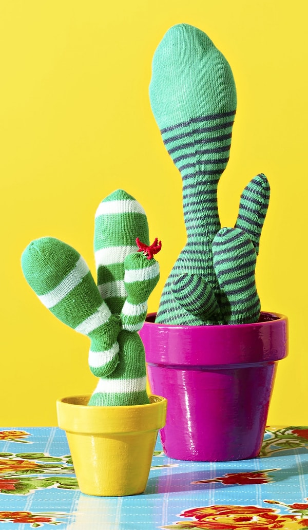 8. Сделайте сад кактусов из носков вместе со своими детьми.