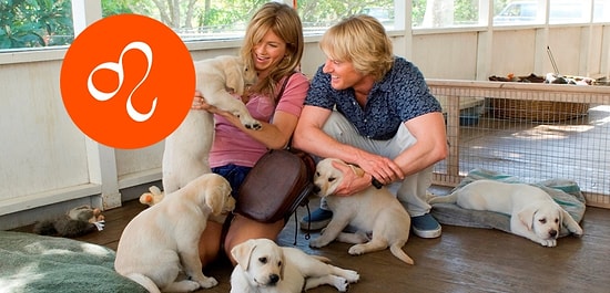 Тест: Узнай, какая собака тебе подходит по знаку Зодиака