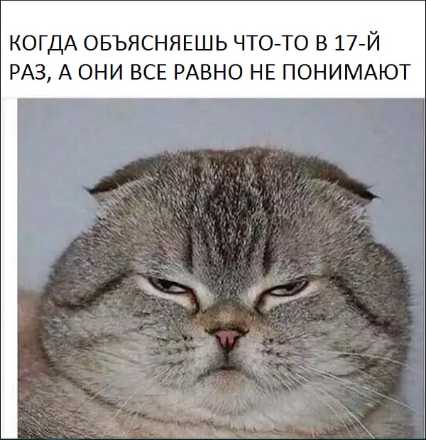 16. Выражение, которое появляется на вашем лице по 15 раз на дню