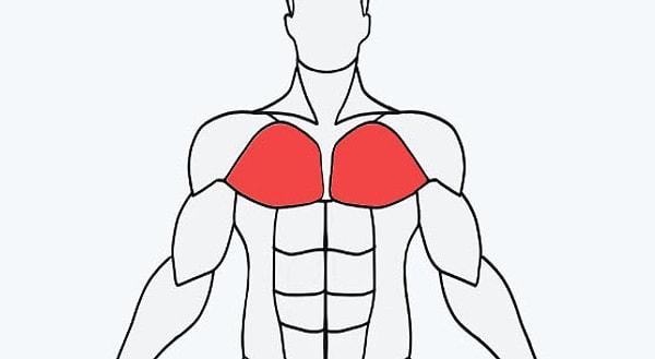 1. Göğüs kasları için hangi egzersizleri yapmalısınız?