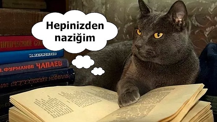 Araştırmacılar Açıkladı: Kitap Okuyorsanız Empati Yeteneğine Sahip ve Daha Nazik Bir İnsansınız!