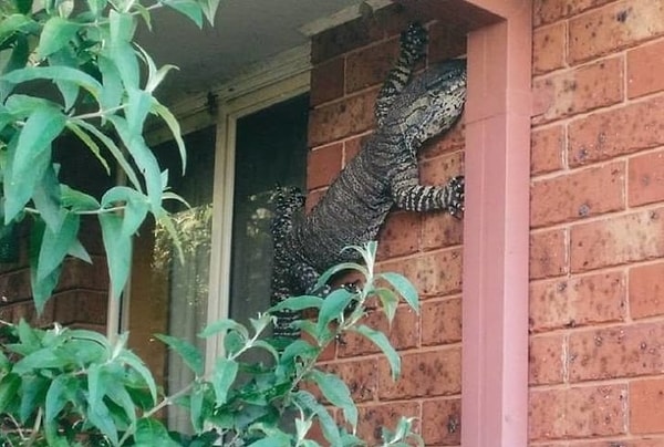 14. "Не хотите поговорить о Господе нашем?"