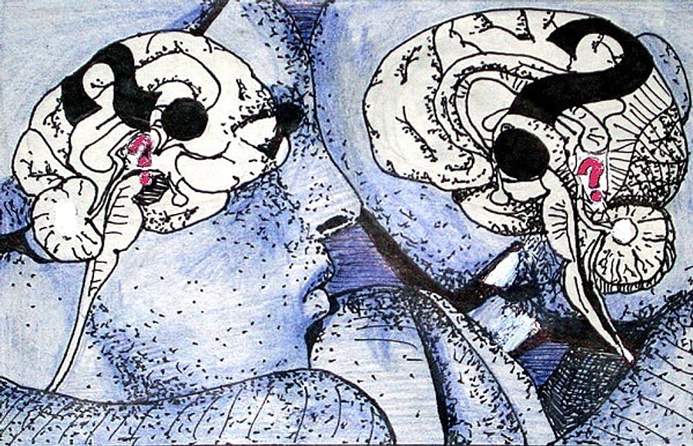 Aklını Karıştıracak Psikolojik Sorulara Verdiğin Yanıtlara Göre Seni, Sana Anlatıyoruz!