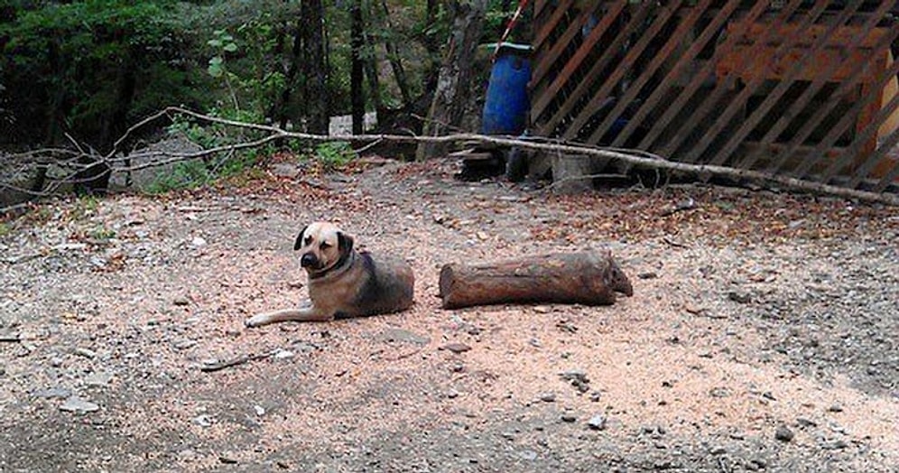 15 фотоиллюзий, которые взорвут ваше воображение