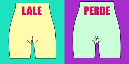 Eski Bir Ağdacının Deneyimlerine Göre Belirlenmiş 5 Farklı Vajina Tipi