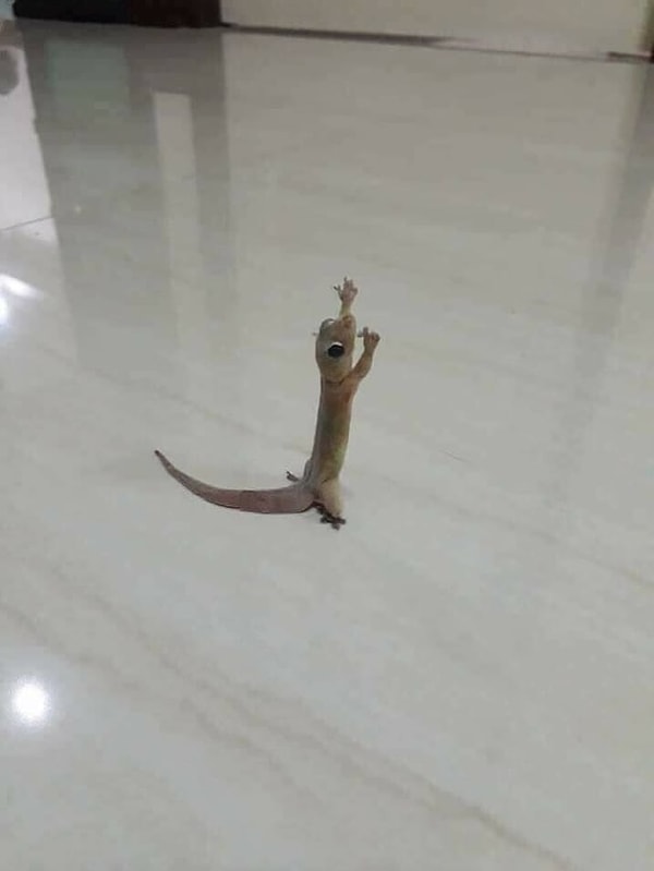 10. Вам незнакома боль удара головой об потолок или низкий проем