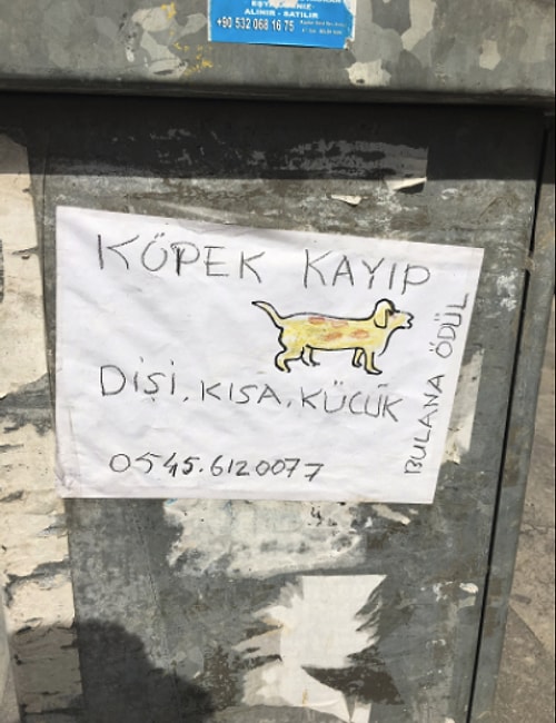 Dünyanın en masum ve emek dolu kayıp ilanı. Umarız bulunmuştur.