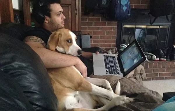 8. И животные тоже умеют ревновать, правда в отличии от людей они кажутся более уравновешенными