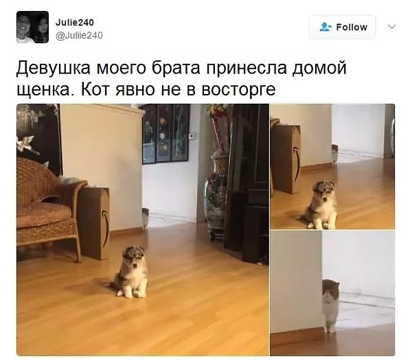 10. Кому-то явно не поздоровится