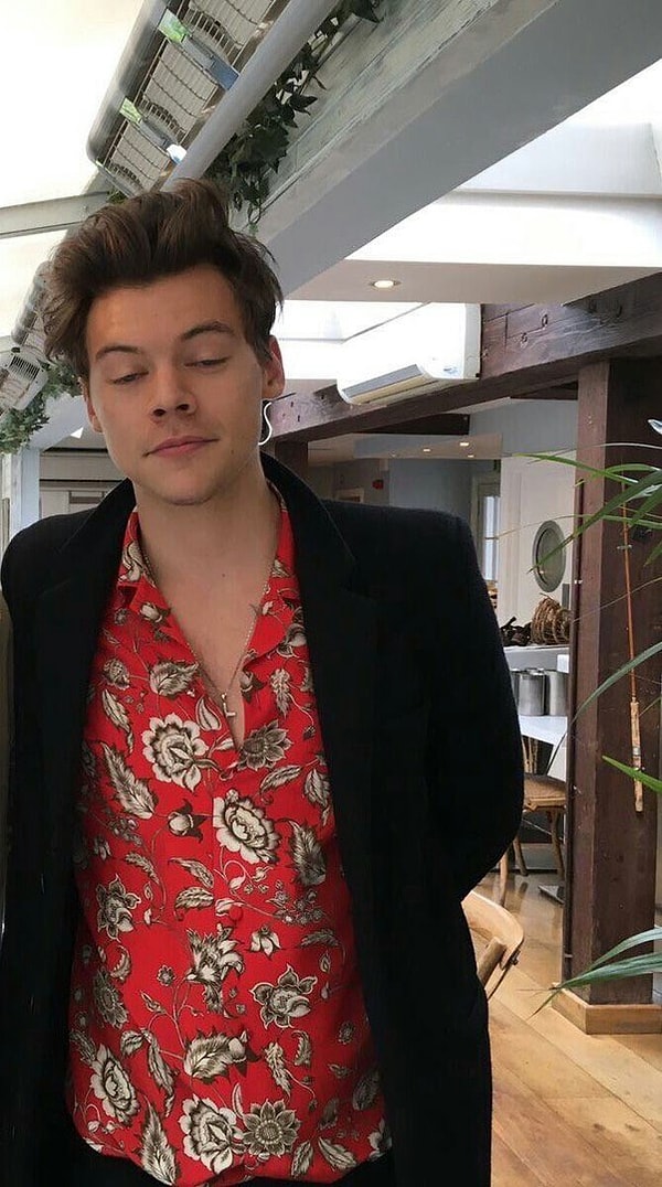 7. У Гарри Стайлса роман с фуд-блогером