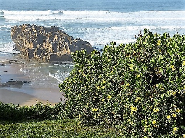9. Garden Route