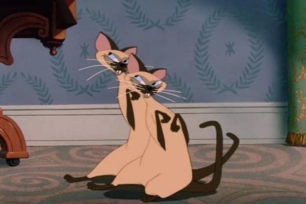 3. Помните этих ужасно хитрых сиамских кошек из "Леди и Бродяга"? Наверняка помните! Но вот, как их зовут?