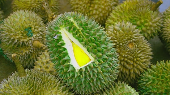 12 национальных блюд, съесть которые сможет лишь настоящий патриот своей страны