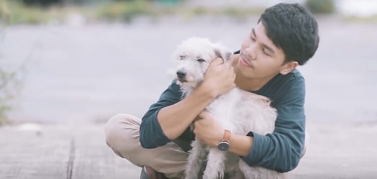 Парень показывает бездомным собакам, что такое объятия, и это очень трогательно!