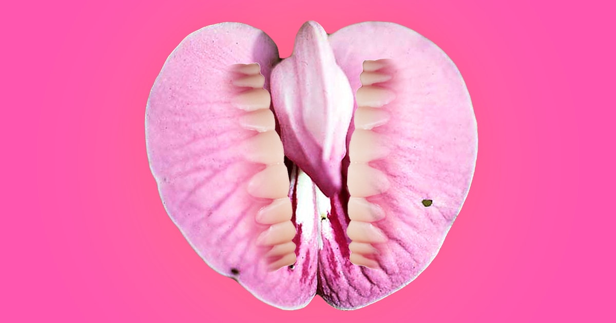 Semiz qizni sikish uchlik