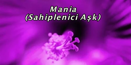 Aşkın 6 Farklı Türü ve Renginden Hangisi Seni Yansıtıyor?