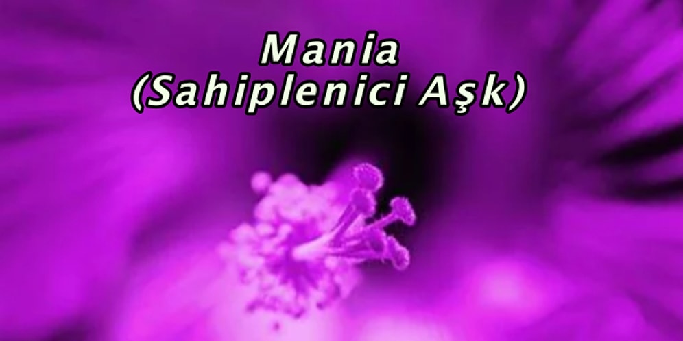 Aşkın 6 Farklı Türü ve Renginden Hangisi Seni Yansıtıyor?