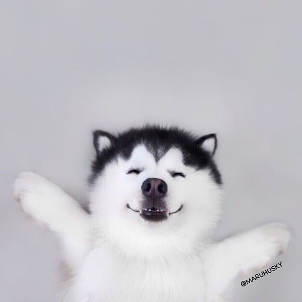 2. Ему три года, и он живет в Индонезии.