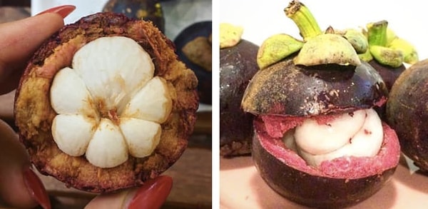 15. Мангустин