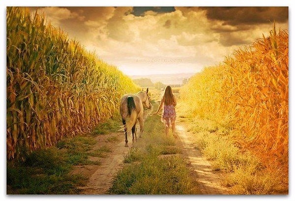 18. Завистливые люди часто осуждают то, чего не умеют, и критикуют тех, до уровня которых им никогда не дотянуться.