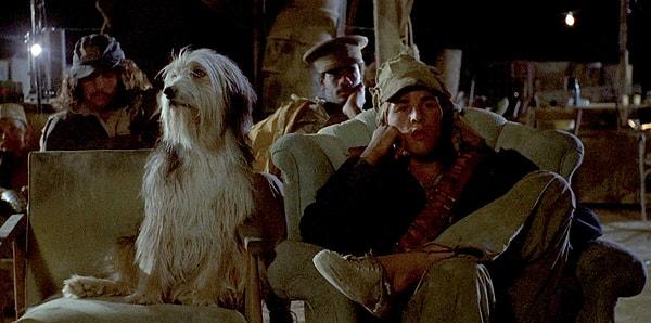 76. “A Boy And His Dog” (1974)