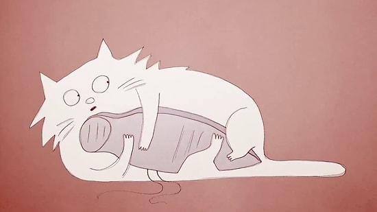 Почему коты ведут себя так?