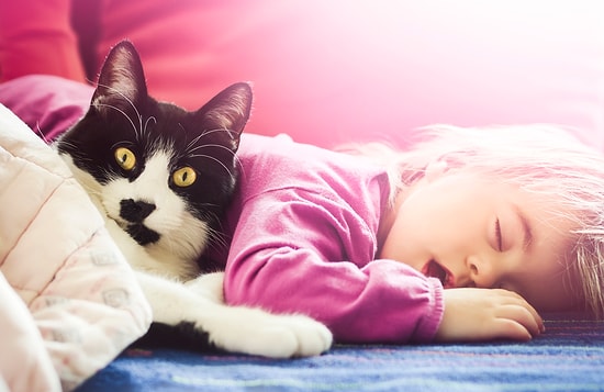 Teknolojiye Meraklı Anne ve Babaların Asla Iskalamadığı 11 Süper Şey