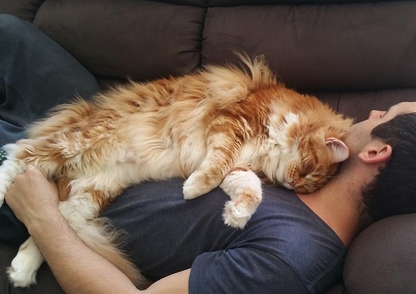 3. Однако пока Омар все еще растет, и его длина еще может увеличиться