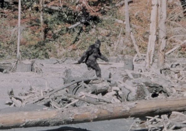 9. В Британской Колумбии, Канада, запрещено убивать снежного человека