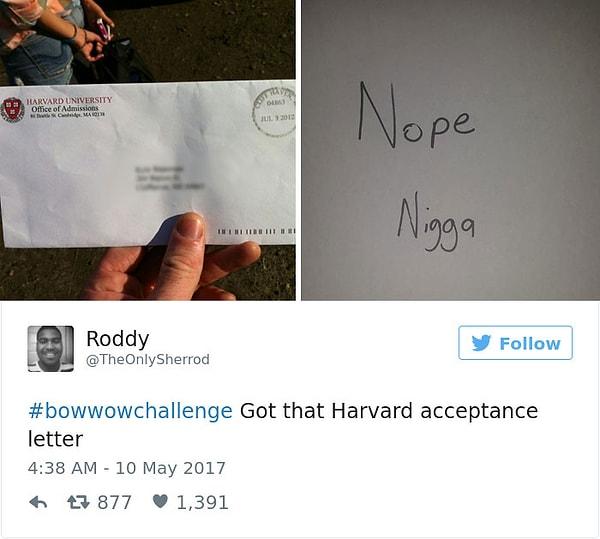 20. Harvard Üniversitesi'ne kabul mektubu!