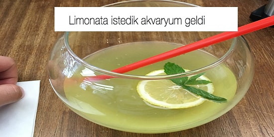 İstedikleriyle Gelenler Arasındaki Uçurumu Mizahla Kapatan 13 Kişi