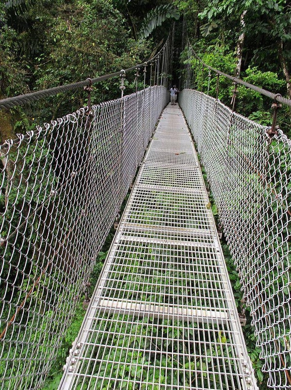 23. И уж тем более не для меня ходить ТОЛЬКО по сетке...