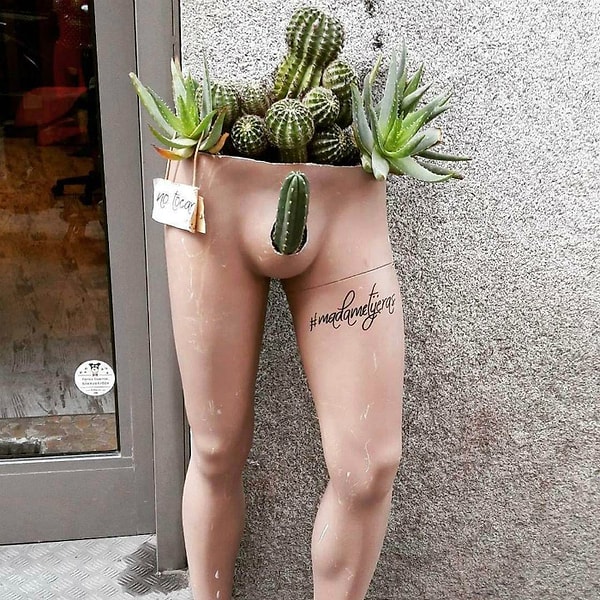 6. Подходите к выбору садовника тщательно и не просите его создать нечто "эдакое"!