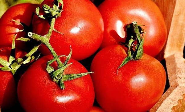 5. Томат