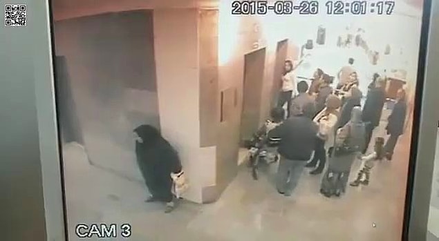 3. Tuvalet sıraları her sabahın çekilmez çilesidir...