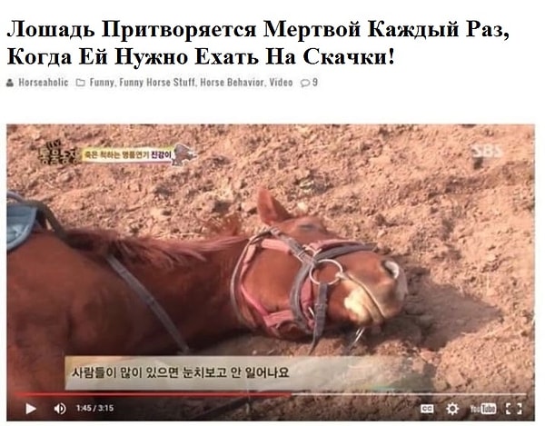 14. Когда учитель вызывал к доске: