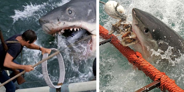 10. Denizin Dişleri/Jaws (1975)