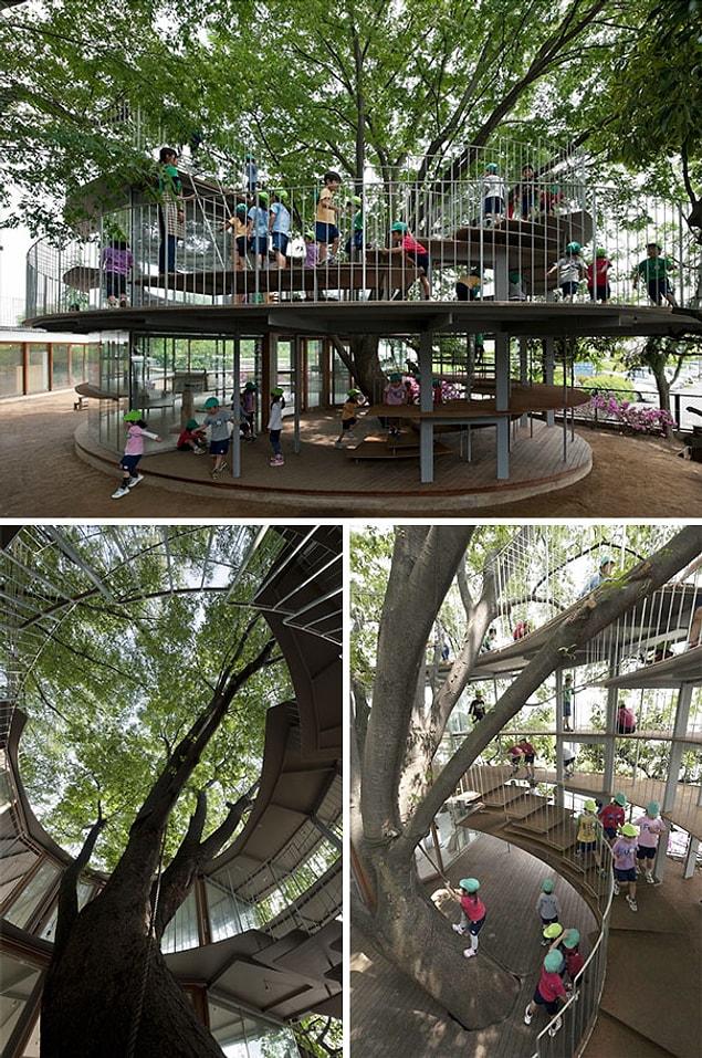 5. This Japanese kindergarten is built around a tree!