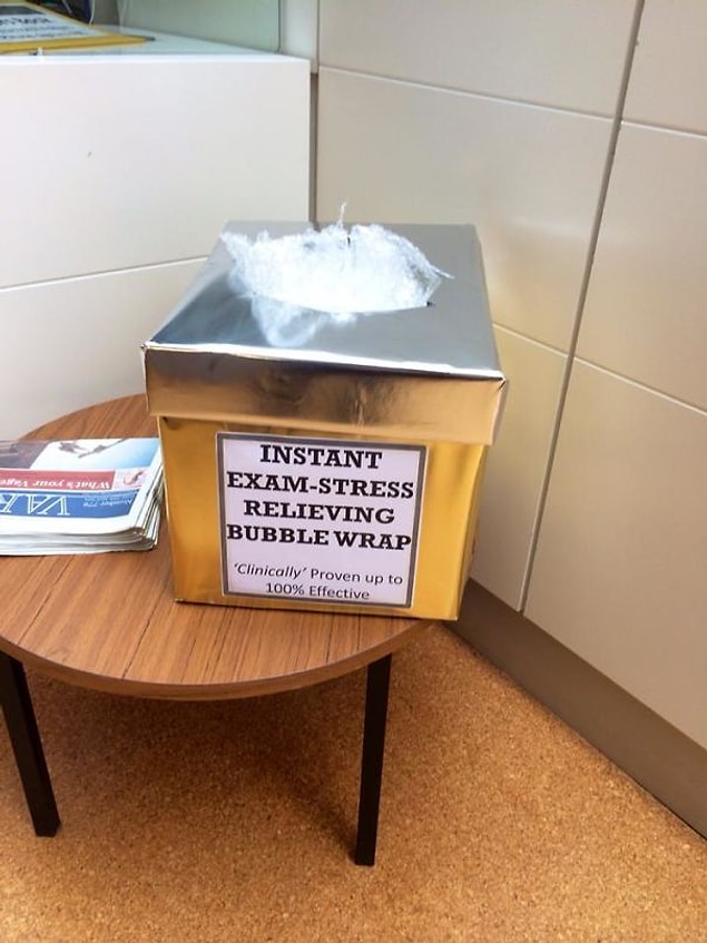 8. This university is helping its students to get over exam stress!