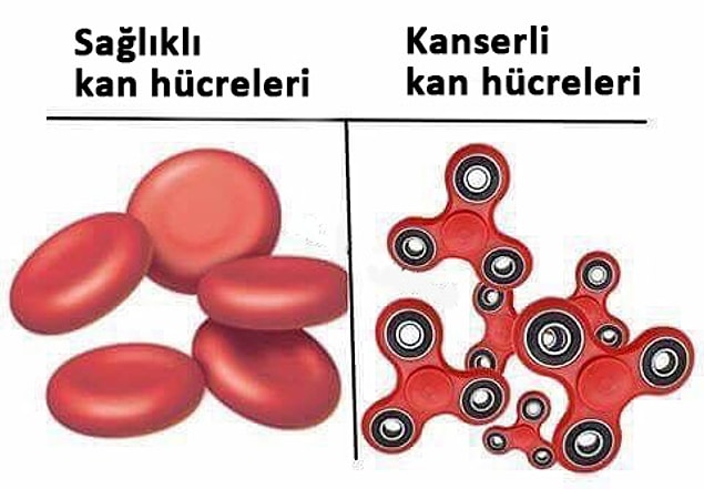 7. Kanserli hücreler