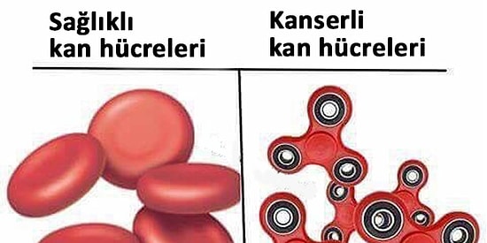 Aniden Ortaya Çıkıp İnsanları Müptela Eden Stres Çarkına Yapılmış 15 Komik Caps