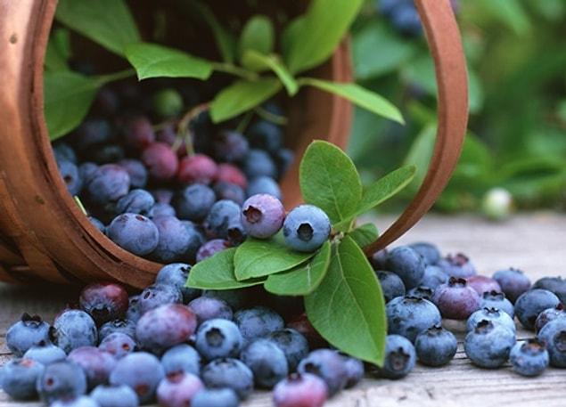 Antioxidants against cancer: Blueberries.
