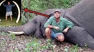 Öldürülen Filin Altında Ezilerek Can Veren Meşhur Büyük Hayvan Avcısı: Theunis Botha