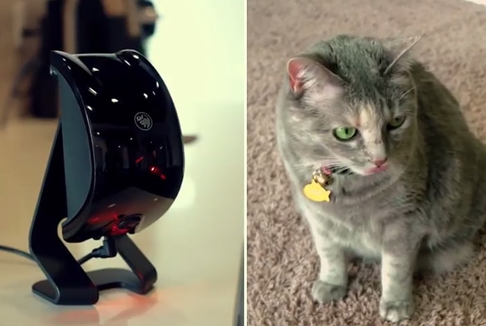 Siz Evde Yokken Minnoş Hayvanlarınızla Oyun Oynayacak Alet: Felik