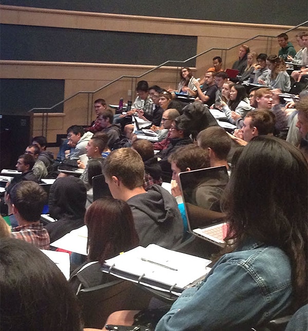 8. Все хотят быть образованными